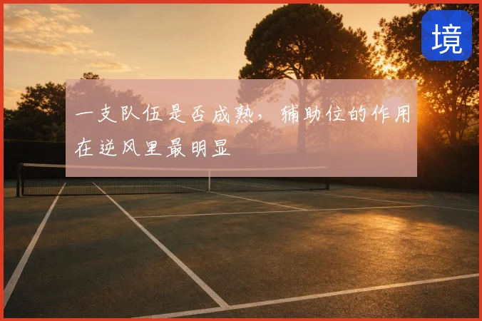 一支队伍是否成熟，辅助位的作用在逆风里最明显