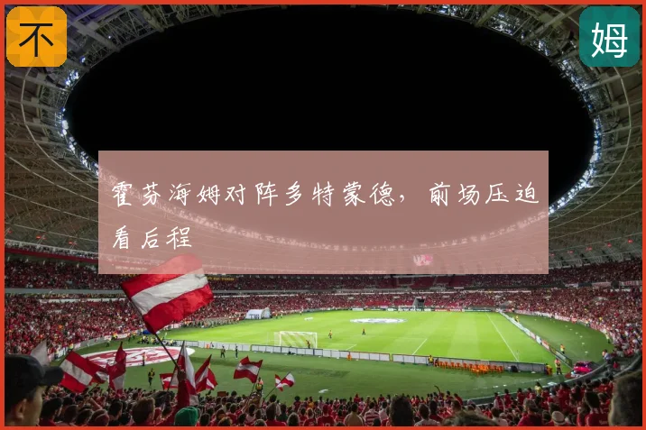 霍芬海姆对阵多特蒙德，前场压迫看后程