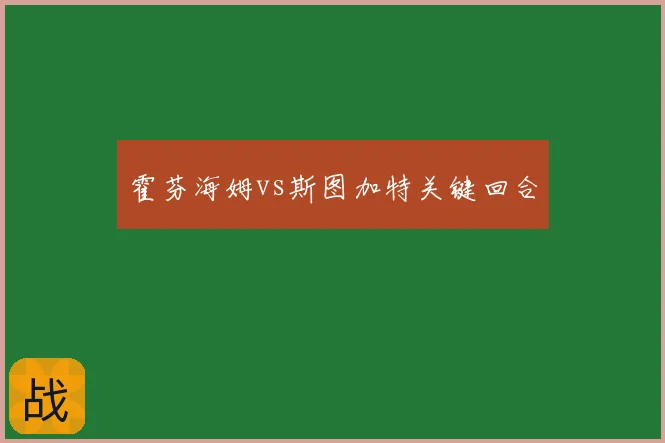 霍芬海姆vs斯图加特关键回合